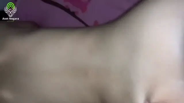 Abg Smp Main Dikost Ayang Mintak Ngewe